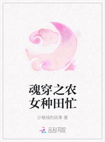 魂穿之农女种田忙