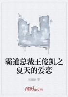 霸道总裁王俊凯之夏天的爱恋