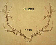 霜路