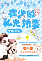 霍少的私宠娇妻