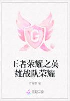 王者荣耀之英雄战队荣耀