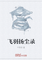 飞羽扬尘录