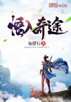 悟入奇途