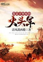 我是辛弃疾的火头军