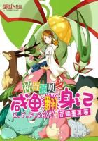 神奇宝贝之咸鱼翻身记