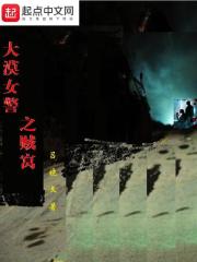 大漠女警之贼窝