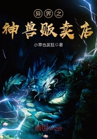 异界之神兽贩卖店