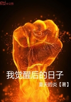 我觉醒后的日子