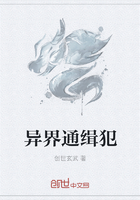 异界通缉犯