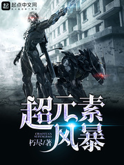 超元素风暴