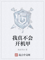 我真不会开机甲