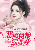 恶魔总裁霸道爱