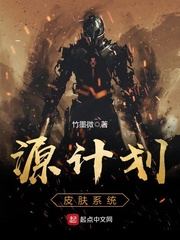 源计划皮肤系统