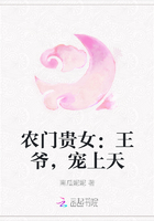 农门贵女：王爷，宠上天