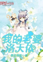 我的老婆洛天依