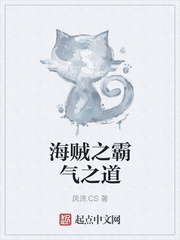 海贼之霸气之道