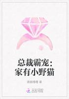 总裁霸宠：家有小野猫
