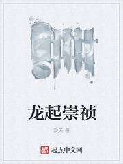 龙起崇祯