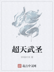 超天武圣