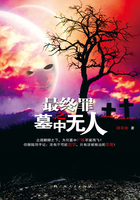 最终罪之墓中无人