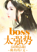 试婚总裁：boss，太强势！