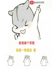 给我换个系统