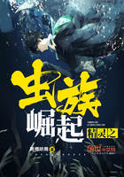 神奇宝贝之虫族崛起