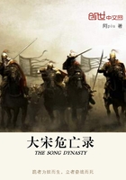 大宋危亡录