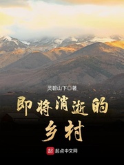 即将消逝的乡村