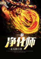 一拳净化师