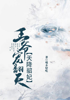 天降貂妃：王爷宠翻天