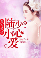 契约爱情：陆少小心爱