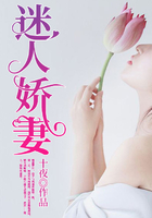 迷人娇妻