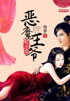 恶魔王爷轻点爱