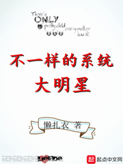 不一样的系统大明星
