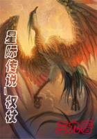 天罗星传说之权杖上部
