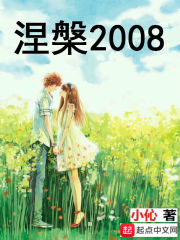 涅盘2008