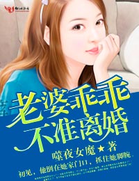 老婆乖乖，不准离婚！