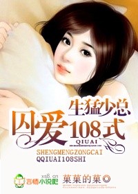 生猛少总，蜜爱108式
