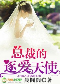 总裁的逐爱天使