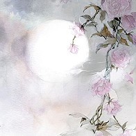 紫幽梦醉