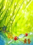 开往天国的末日列车