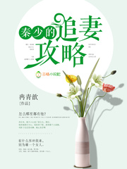 秦少的追妻攻略