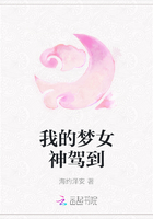我的梦女神驾到