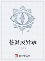 异世之圣痕