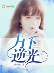 月下逆光