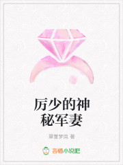 厉少的神秘军妻