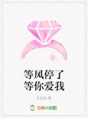 等风停了等你爱我
