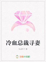 冷血总裁寻妻