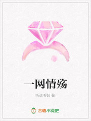 一网情殇
